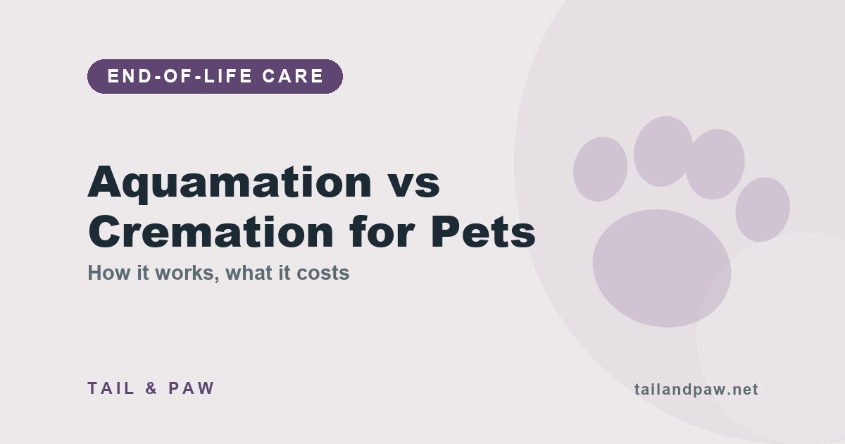 A quiet memorial garden with a small plaque and soft morning light — the aquamation vs cremation decision guide.