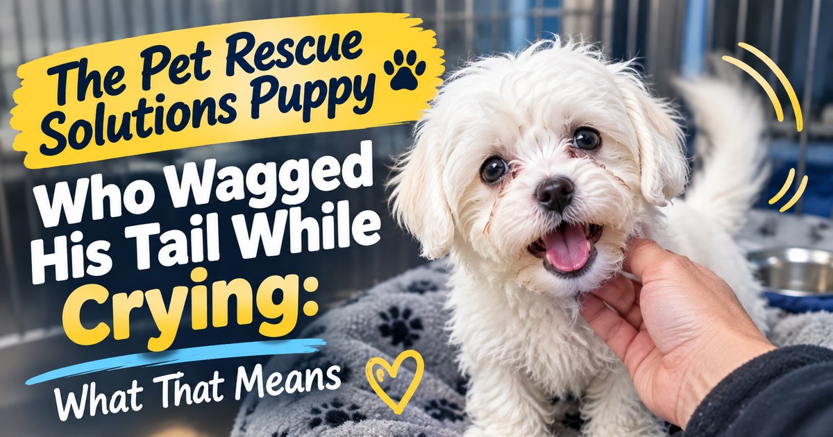 Cover art for the Pet Rescue Solutions crying puppy story: a small white rescued puppy with a wagging tail being petted at the rescue, with the text 'The Pet Rescue Solutions Puppy Who Wagged His Tail While Crying'
