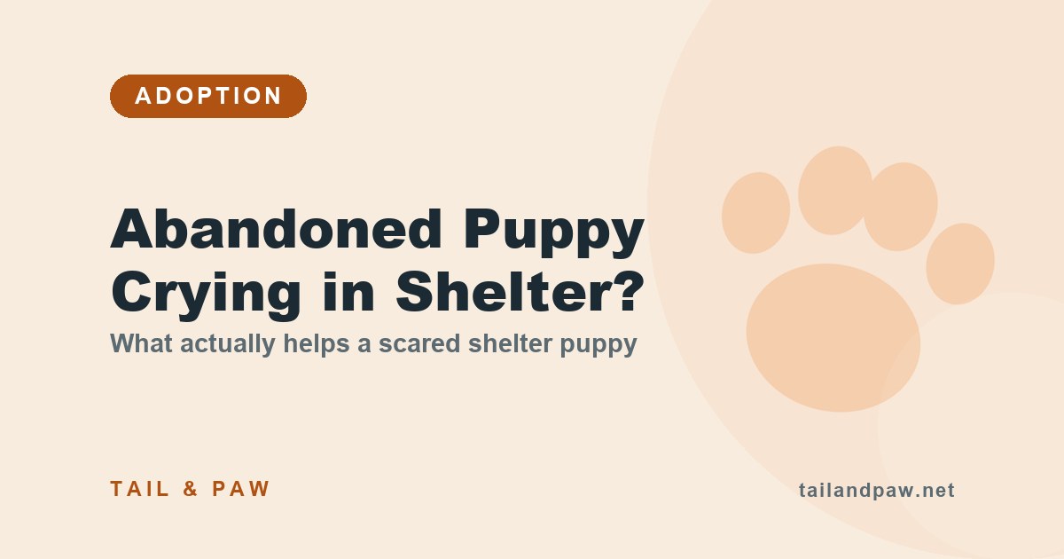 A young puppy looking out from a shelter kennel, waiting for a home.