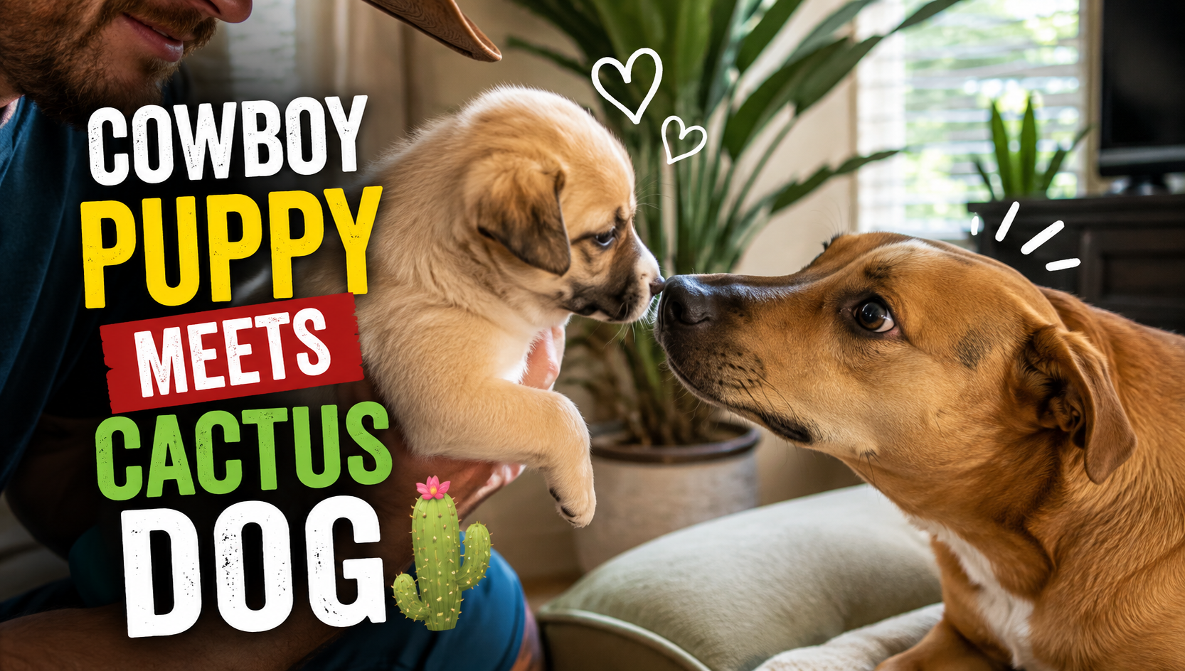 A fluffy cream-colored puppy held by a person in a cowboy hat, touching noses with a tan adult dog on a couch, with an illustrated cactus and heart doodles — the viral Cowboy meets Cactus first-meeting scene.