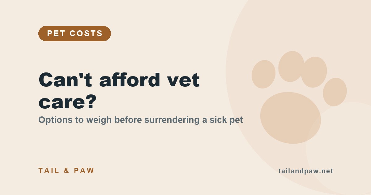 Explainer graphic: options to consider before surrendering a sick pet, from vet payment plans to pet insurance and rescues